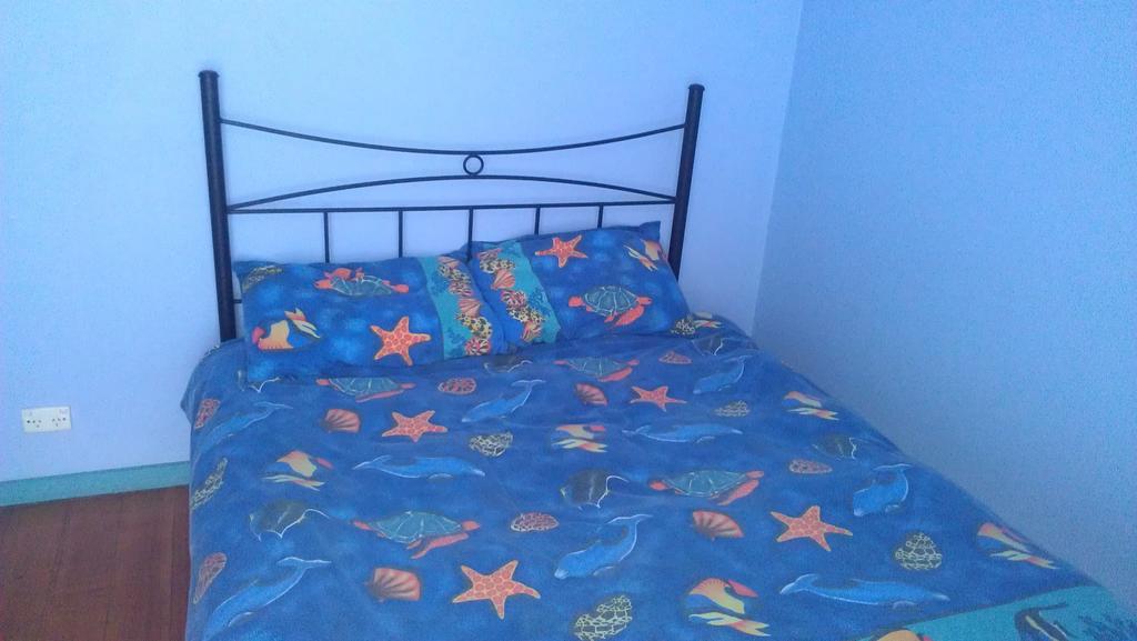 Hostel Anglesea Backpackers Zimmer foto